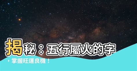 屬火動物|揭秘八字五行適合收養的寵物